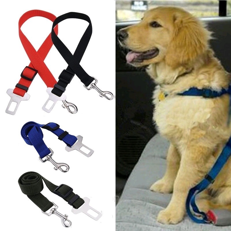 ペット用チャイルドシート,犬と猫用の調節可能なヘッドバンド, - Travel Accessories Dropshipping のレビューと価格